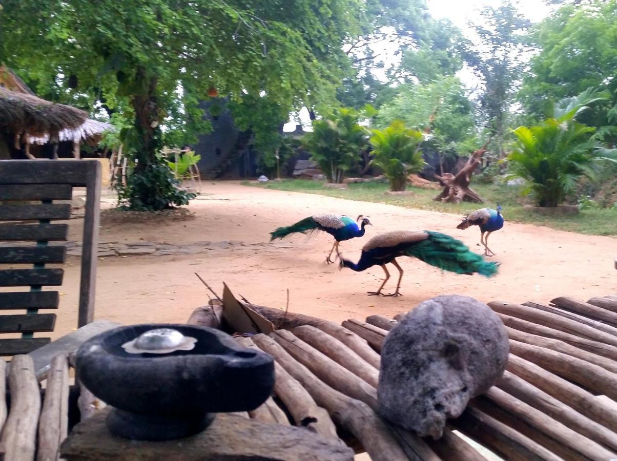 Humbhaha Jungle Yala Nature Eco Resort カタラガマ エクステリア 写真