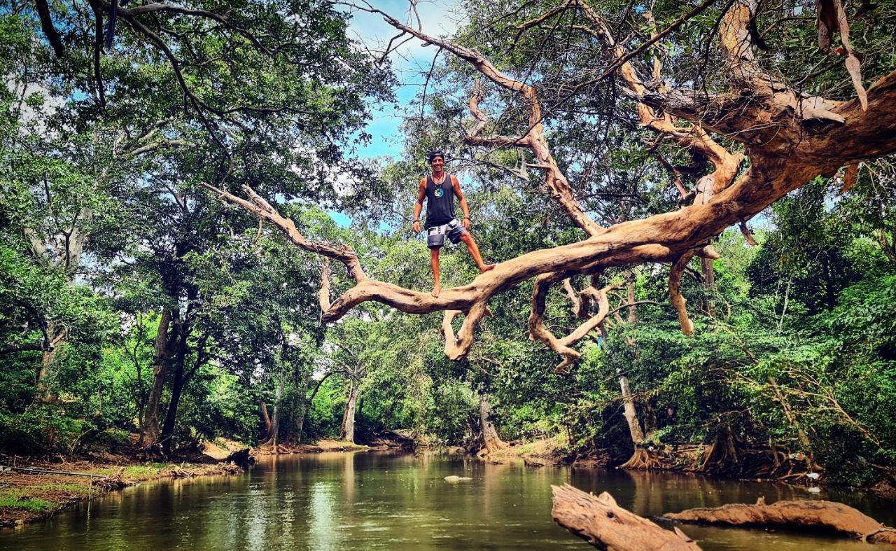 Humbhaha Jungle Yala Nature Eco Resort カタラガマ エクステリア 写真