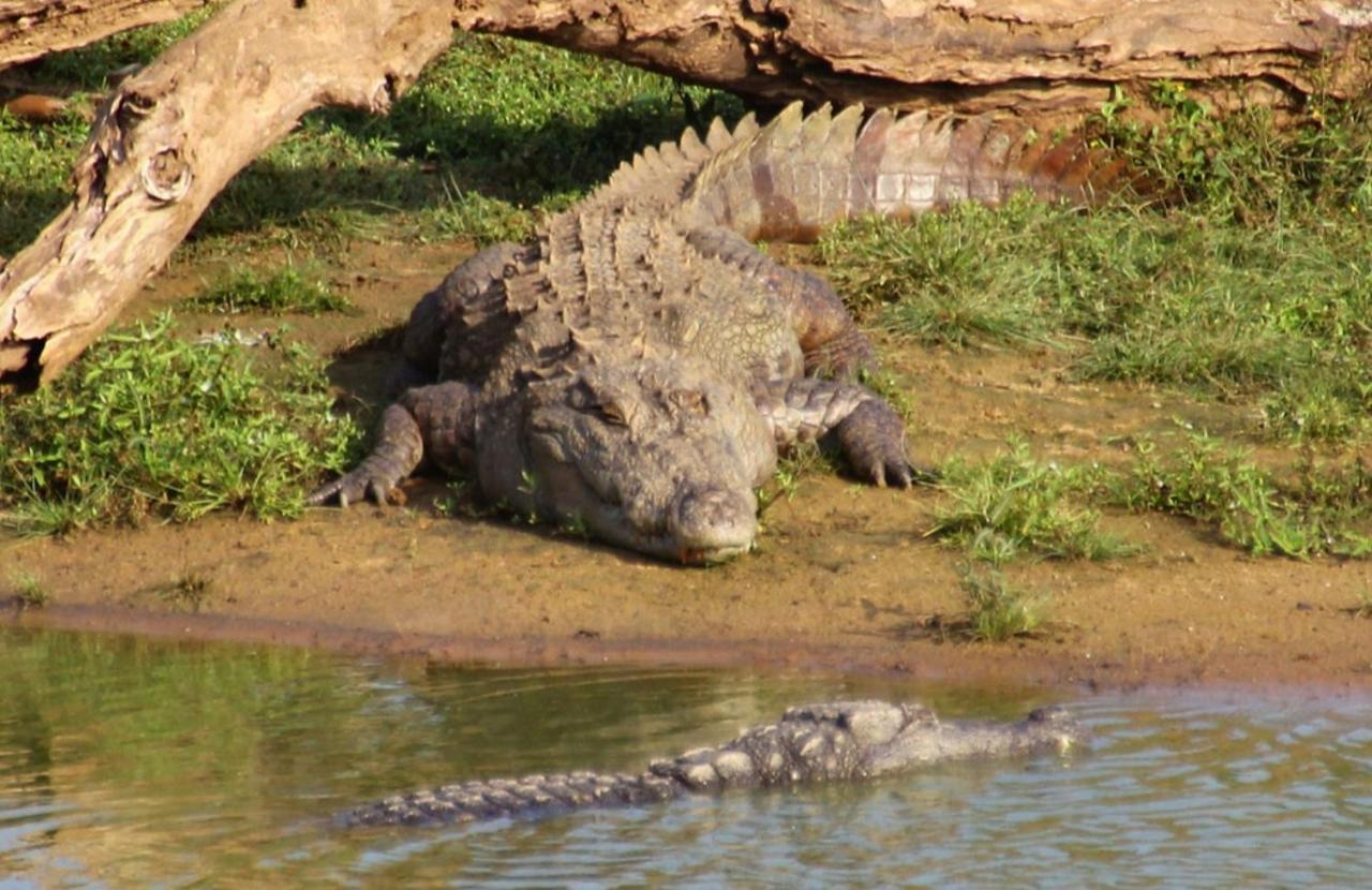 Humbhaha Jungle Yala Nature Eco Resort カタラガマ エクステリア 写真