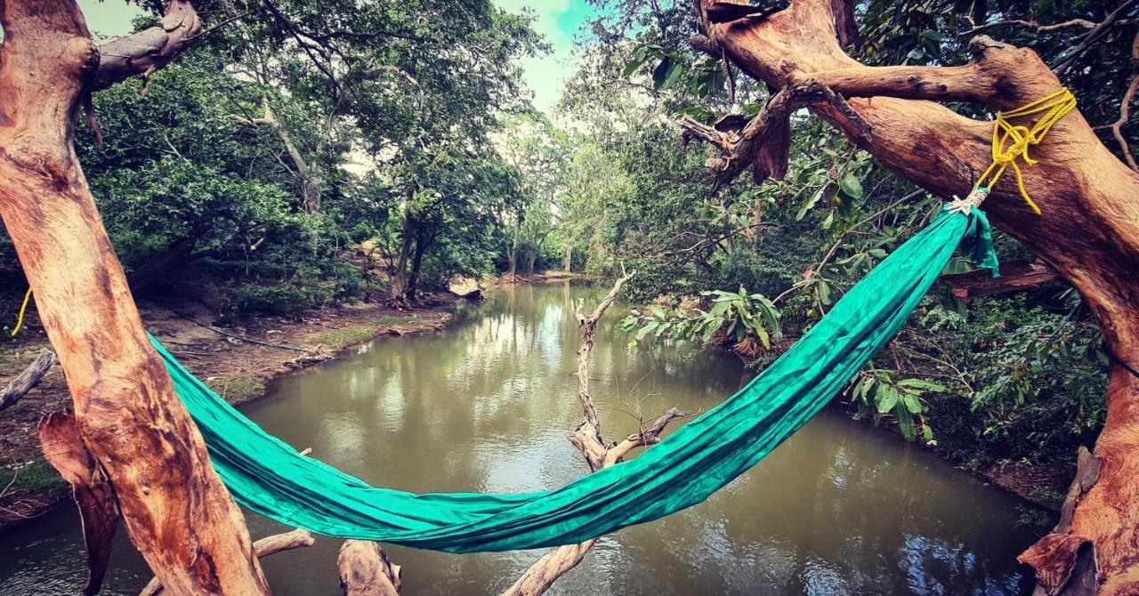 Humbhaha Jungle Yala Nature Eco Resort カタラガマ エクステリア 写真