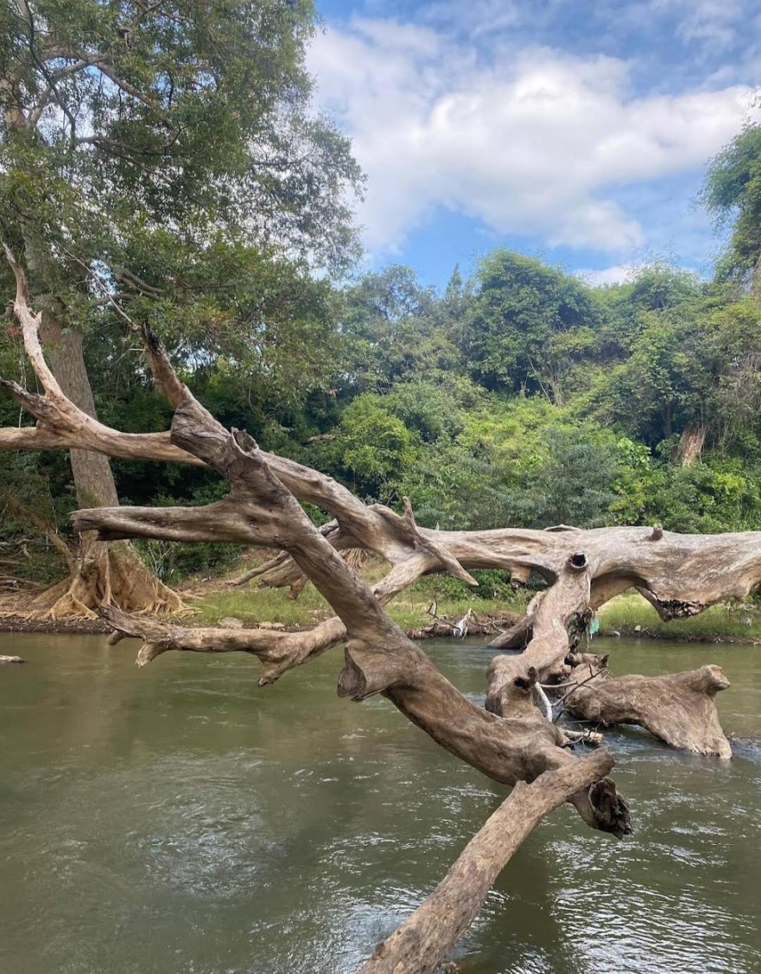 Humbhaha Jungle Yala Nature Eco Resort カタラガマ エクステリア 写真