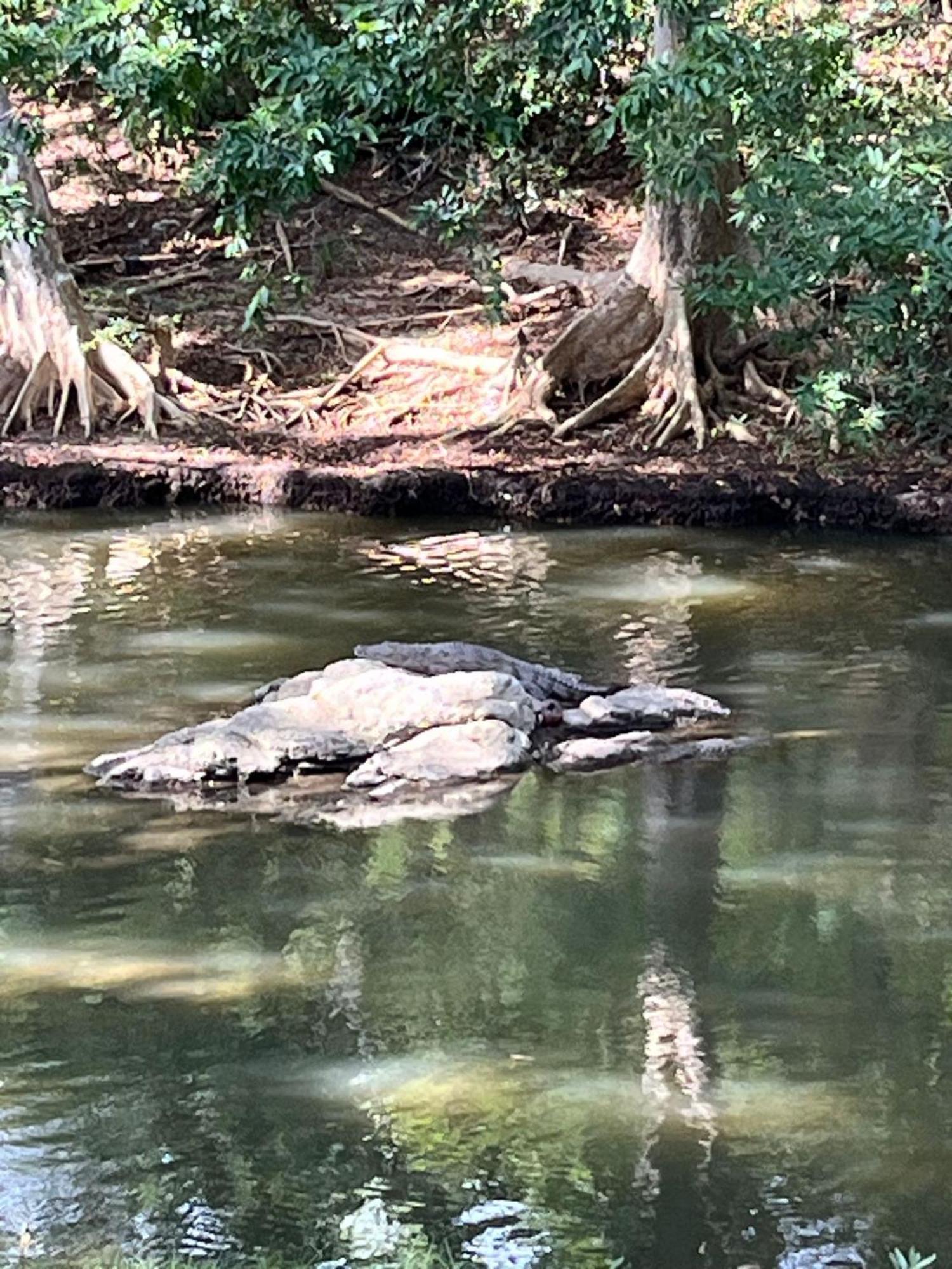 Humbhaha Jungle Yala Nature Eco Resort カタラガマ エクステリア 写真